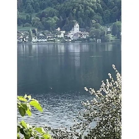Bodensee-apartment Seesucht No 86 * Bodman-Ludwigshafen